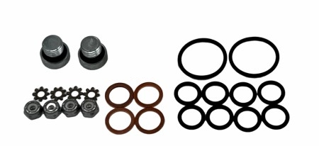 Dual fuel pump rebuild kit